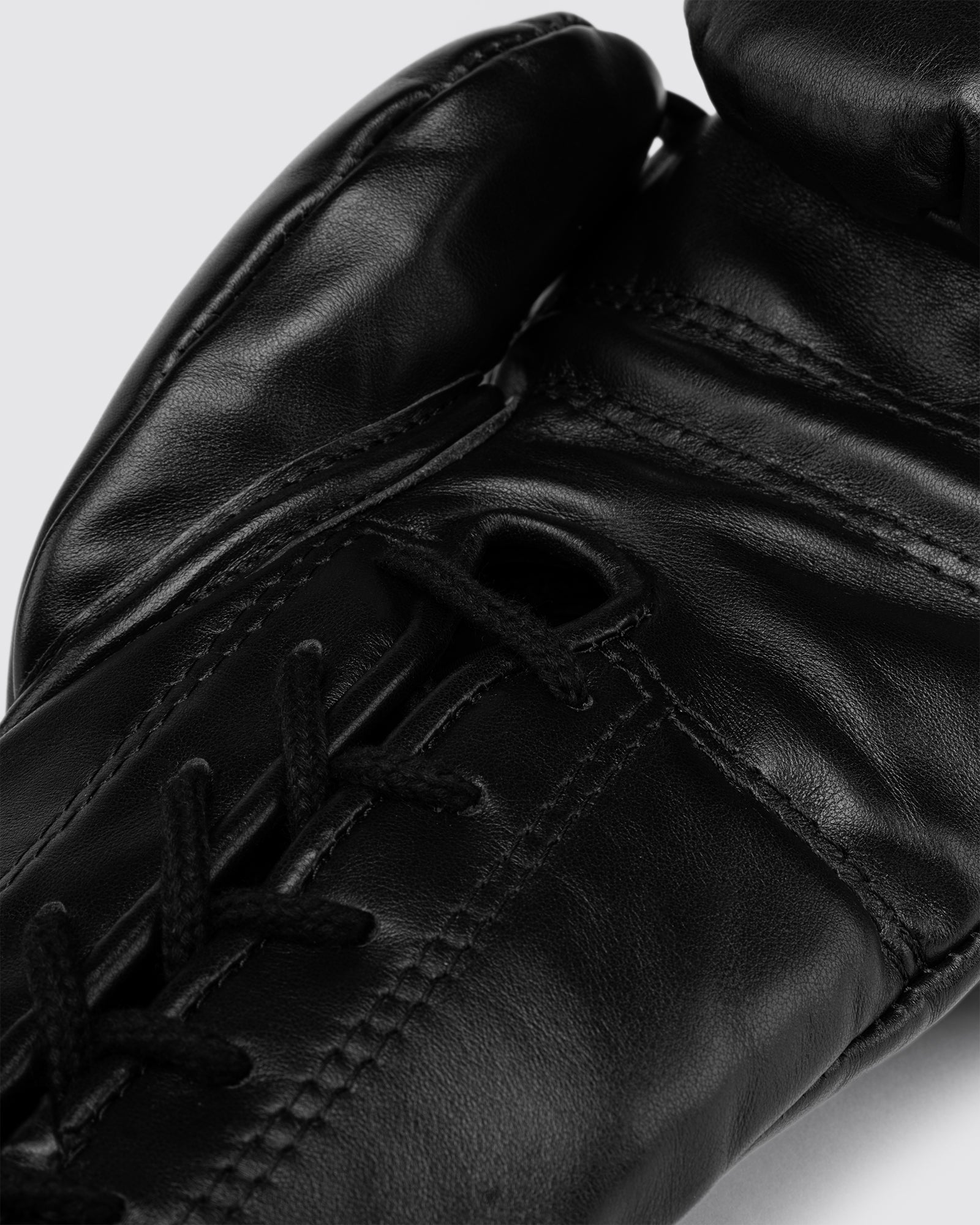 Halcyon Fight Gloves In Black